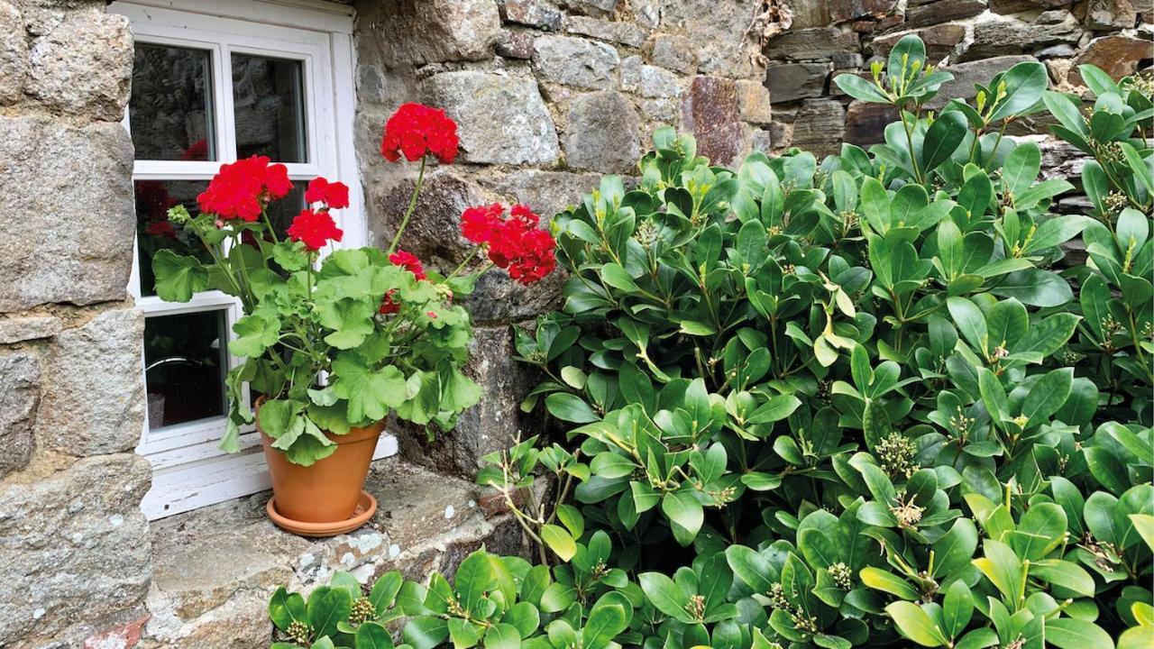 Manoir De La Begaudiere Mont-Dol المظهر الخارجي الصورة