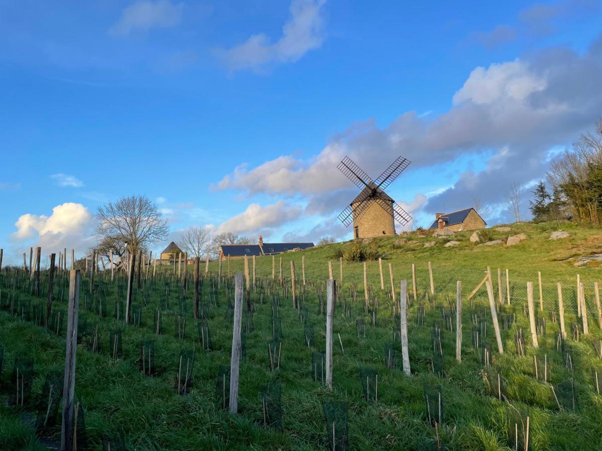 Manoir De La Begaudiere Mont-Dol المظهر الخارجي الصورة